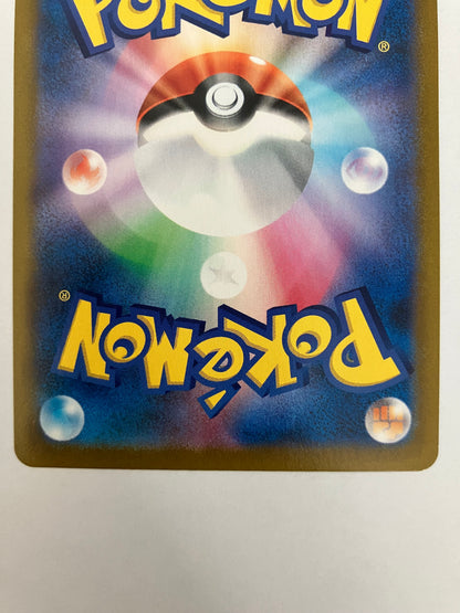 ゼクロム　CHR（状態B）