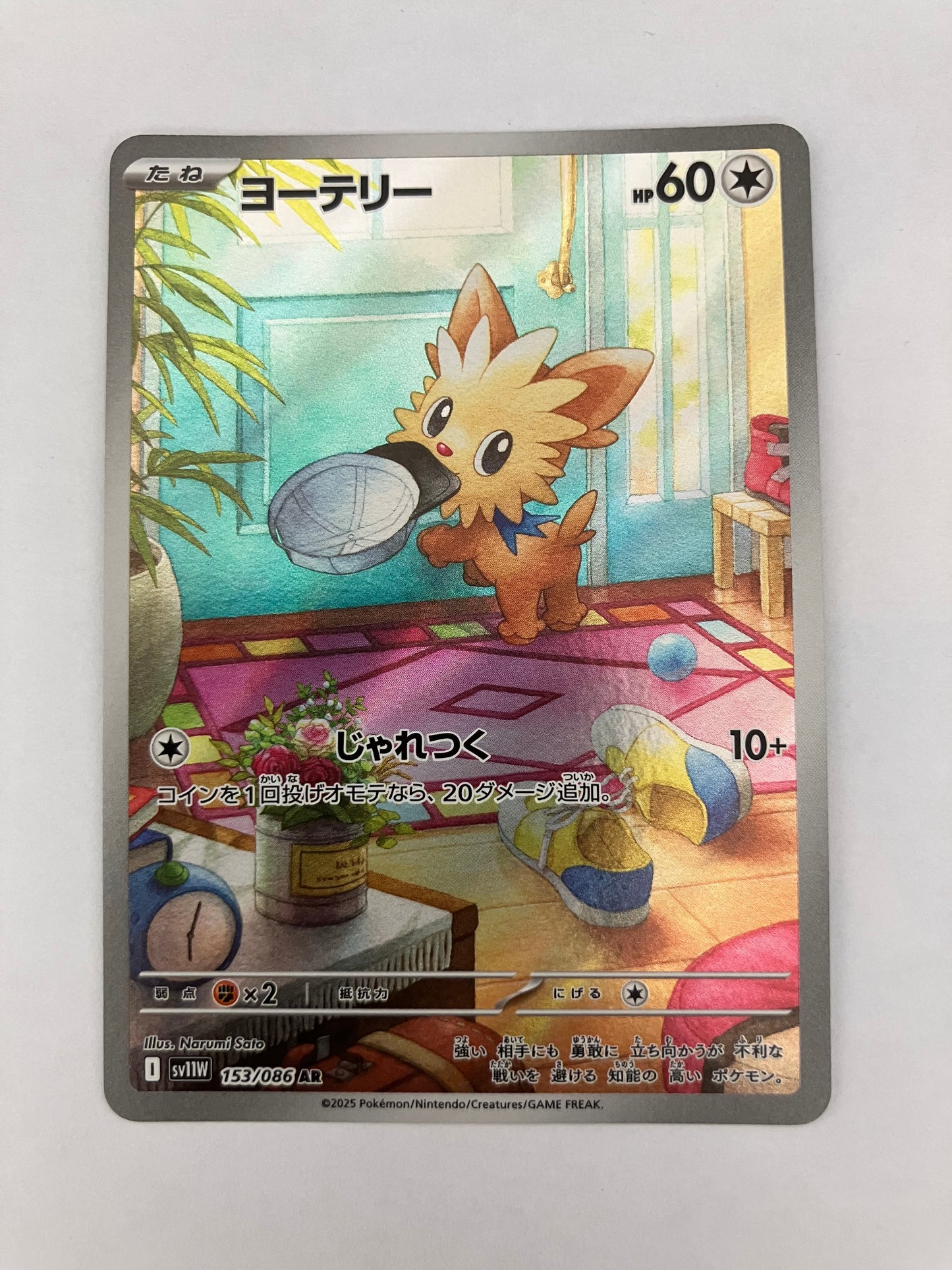 ヨーテリー　AR