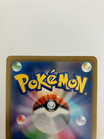 リザードン  CHR