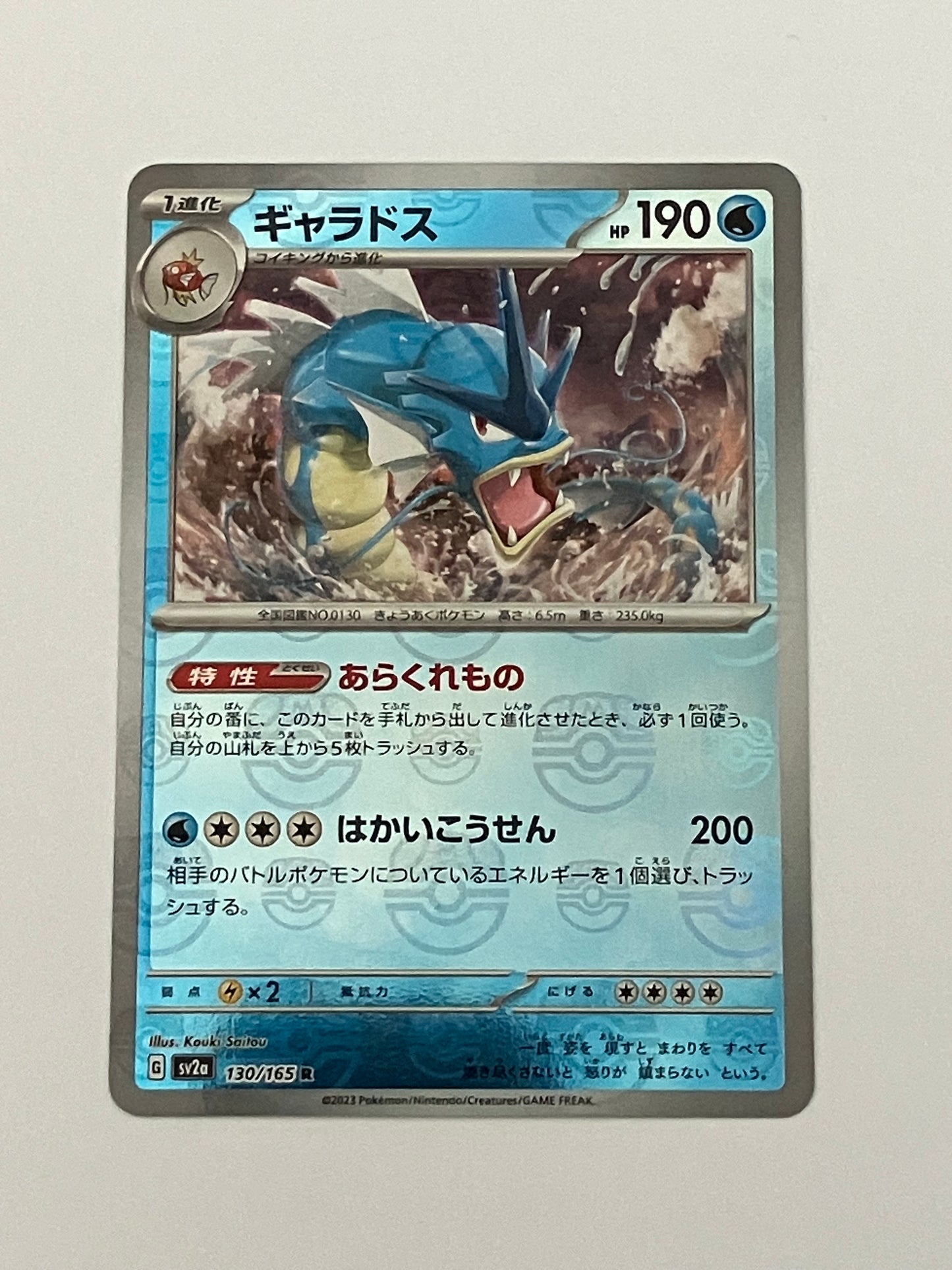 ギャラドス  マスターボールミラー