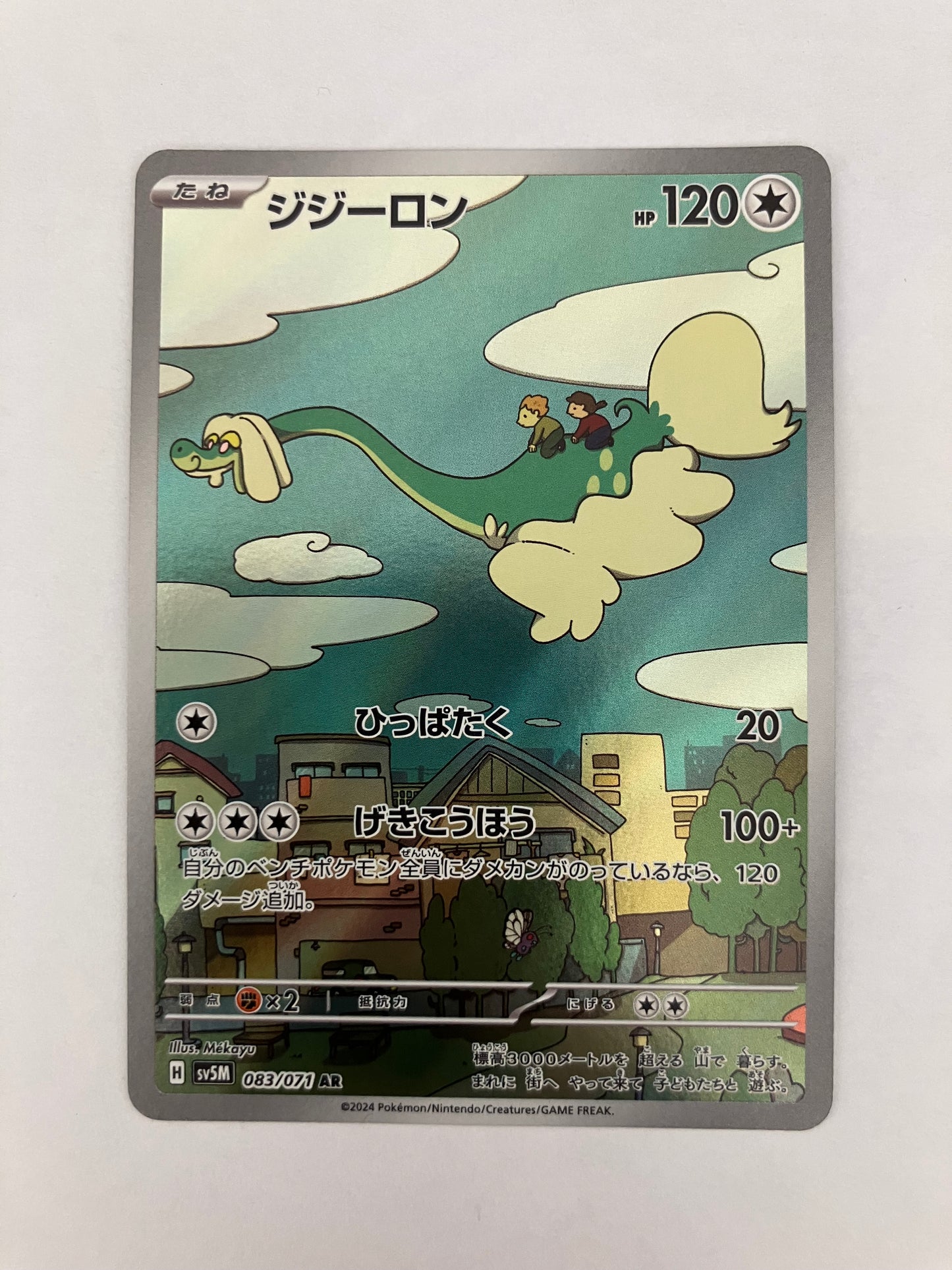 ジジーロン　AR