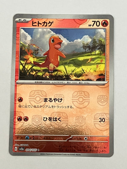 ヒトカゲ　マスターボールミラー