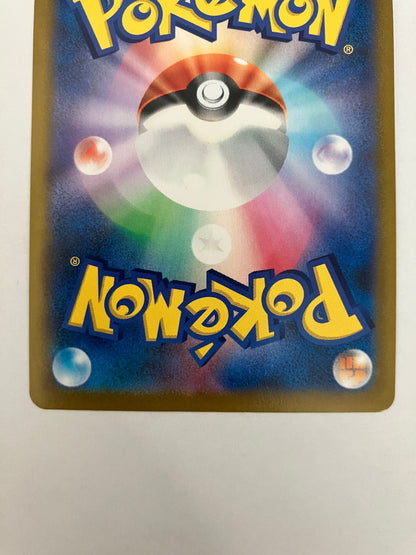 リザードン  CHR