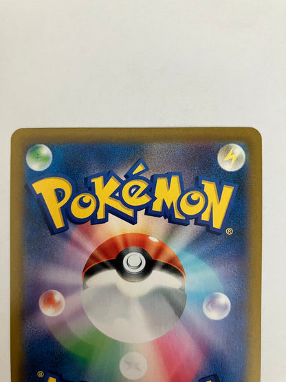 ゼクロム　CHR（状態B）